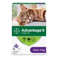 Advantage II Flea Treatment For Large Cats - 4 Dose