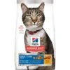 Science Diet Adult Oral Care Cat, Chicken 15.5lb 1 Science Diet Adult Oral Care Cat, Chicken 15.5lb -Pet Supply Store af4c6661 f22e 4b63 bb0d a30bdeb77959
