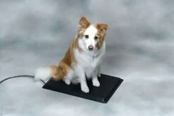 17" X 24" Medium Heated Pet Mat -Pet Supply Store b062799b c4e8 4f2f bb9e 14b7b6877bbd