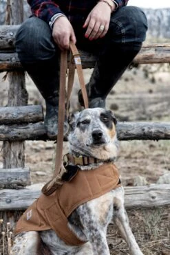 Carhartt Tradesman Leash Carhartt Brown -Pet Supply Store b39a9853 3e63 4b6f 958a ce494e71daf0