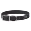 COLLAR BRAHMA BLACK 1X21 2 COLLAR BRAHMA BLACK 1X21 -Pet Supply Store b42d2113 c1f4 40db 90a8 33fd85fe802b