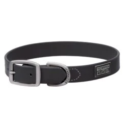 COLLAR BRAHMA BLACK 1X21