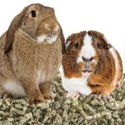 BEDDING KRITTERS HEMP 10LBS