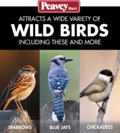 Stokes® The More Birds Metal Hopper Bird Feeder -Pet Supply Store b9738101 f53a 44be ad32 8c1b10149bfc