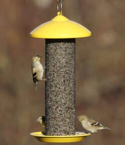 Stokes® More Birds® Finch Screen Tube Bird Feeder -Pet Supply Store bccb7829 c85d 4750 bff0 eb63627aa39f