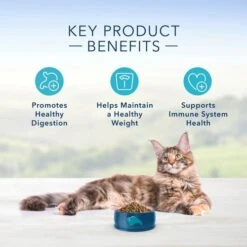 Blue Buffalo® Indoor Health, Chicken & Brown Rice Recipe Adult Cat Food - 3.2kg -Pet Supply Store bd9e9586 23ae 4fdb 9654 46cf761b9a39