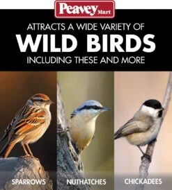 Perky-Pet® Milk Pail Wild Bird Feeder White 5lb -Pet Supply Store bf5d5d36 8943 4394 af96 0fba0e32a623