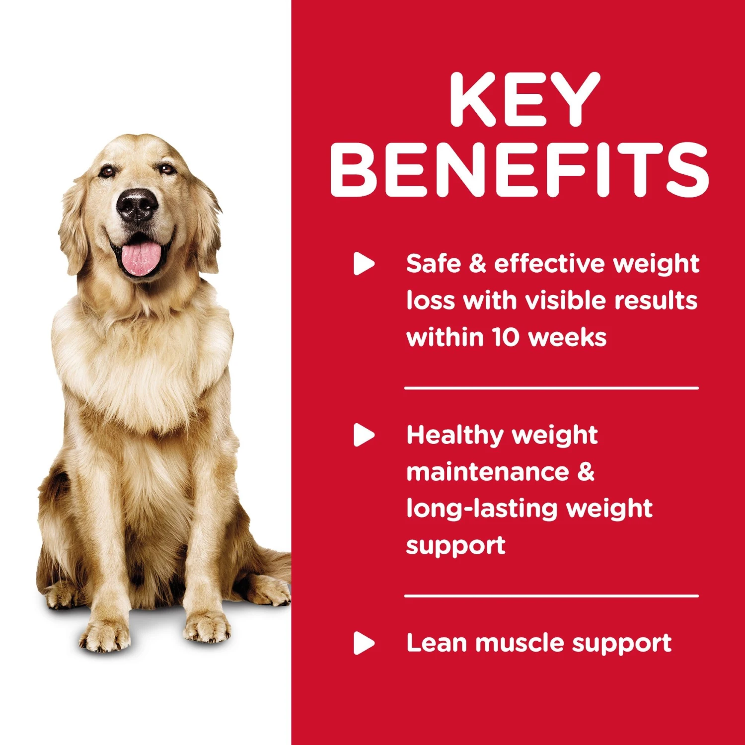 Hill's® Science Diet® Adult Perfect Weight Dog, Chicken 12.9kg 5 Hill's® Science Diet® Adult Perfect Weight Dog, Chicken 12.9kg - Image 3