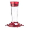 Stokes® More Birds® Ruby Glass Hummingbird Feeder -Pet Supply Store c15017f6 5514 48b0 ade0 849caa78a7b9