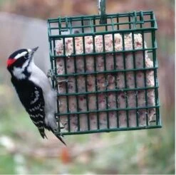 St. Albans Bay Suet Plus High Energy Suet Cakes 15 Pack -Pet Supply Store c1e38ee3 52db 499a 8dc4 44c49c1972c6