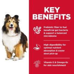 Hill's® Science Diet® Sens Stomach/Skin Dog, Chicken 15.5kg 10 Hill's® Science Diet® Sens Stomach/Skin Dog, Chicken 15.5kg -Pet Supply Store c2326b83 9248 4d6e 9c03 d5057e1a40f0