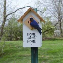 Natures Way® Farmhouse Bluebird House -Pet Supply Store c6a075a2 4f44 497d 821f 20365234fe29
