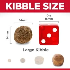 Hill's® Science Diet® Adult Dog Large Breed, Lamb 14.9kg -Pet Supply Store cb4b649d f109 4efe 9fbc 240ff6f121c2