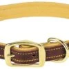 COLLAR 3/4 X 19" DEER RIDGE -Pet Supply Store d19ce27b d446 4c82 8f81 26fc7c5a825b