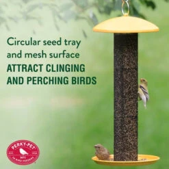 Perky-Pet® NO/NO Straight-Sided Finch Tube Feeder -Pet Supply Store d229e535 5131 4e85 9cf2 69c6a6c6ef03