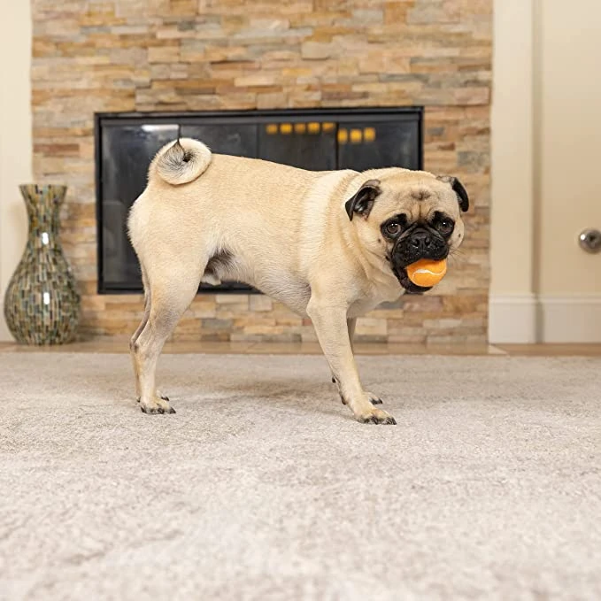 Wildology™ 12 Pack 2.5" Logo Tennis Ball 4 Wildology™ 12 Pack 2.5" Logo Tennis Ball - Image 2