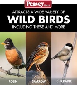 Stokes® More Birds® Sweet Treat Café Tube Bird Feeder 9 Stokes® More Birds® Sweet Treat Café Tube Bird Feeder -Pet Supply Store d9f112d8 43ec 4f30 8167 7a32ef58d386
