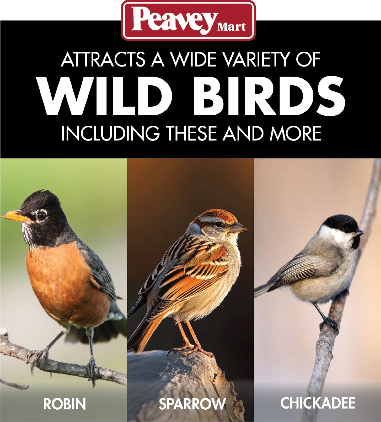 Stokes® More Birds® Sweet Treat Café Tube Bird Feeder 6 Stokes® More Birds® Sweet Treat Café Tube Bird Feeder - Image 4