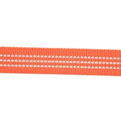 Carhartt Large Tradesmen Dog Leash -Pet Supply Store db436be4 3f1f 487e 8a24 731a747e4ac7