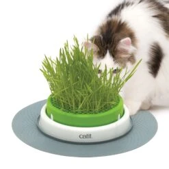 Catit Senses 2.0 Grass Planter -Pet Supply Store dd4e7d58 69a7 4522 83cd 9fa8fd732b67