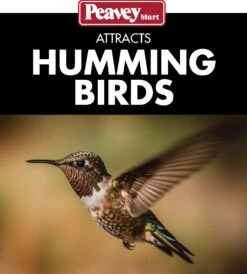 Perky-Pet® Hummingbird Feeder 12 Oz -Pet Supply Store dff2fb11 6f5c 469b bb90 daed037ecb55