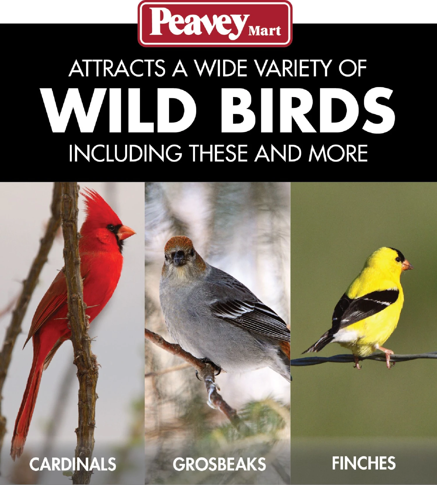 Armstrong® Squirrel-X2 Resistant Bird Feeder 6 Armstrong® Squirrel-X2 Resistant Bird Feeder - Image 4