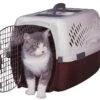 PET TAXI FASHION MEDIUM 2 PET TAXI FASHION MEDIUM -Pet Supply Store e5be2684 de9a 4842 a693 cde7ce86adac