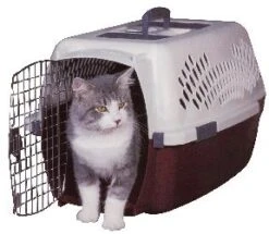 PET TAXI FASHION MEDIUM