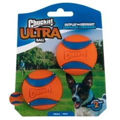 Chuckit! Chuckit Ultra Ball 2 Pack