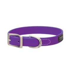 COLLAR BRAHMA PURPLE 3/4X15