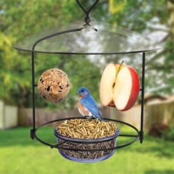 Natures Way® Bluebird Buffet -Pet Supply Store ec84984d d5b0 4f41 93dd cc7df9a29220