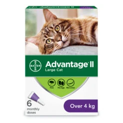 Advantage II Flea Treatment For Large Cats - 6 Dose