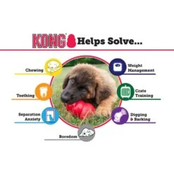 Kong Extreme Dog Treat Holder & Toy, XL -Pet Supply Store f14ce8f6 a3ae 4479 a0c9 df48309a4a7e