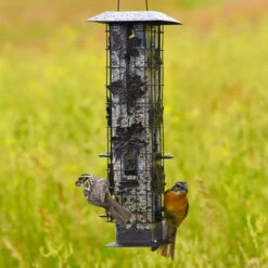 Perky-Pet® Squirrel-Be-Gone® Wild Bird Feeder -Pet Supply Store f24d78d4 9922 4002 a323 200657b7983c