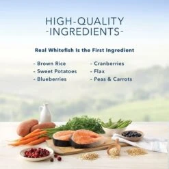 Blue Buffalo® Indoor Health, Salmon & Brown Rice Recipe Adult Cat Food - 3.1kg -Pet Supply Store f8e6f187 d5cd 4df3 ab5b fbb05f554928